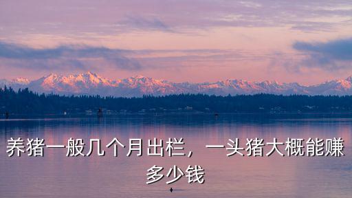 東營養(yǎng)豬一個月多少錢,一頭豬大概能賺多少錢