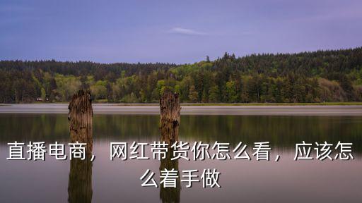直播電商，網紅帶貨你怎么看，應該怎么著手做