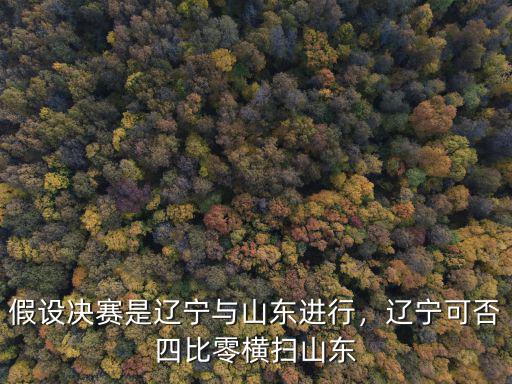 假設決賽是遼寧與山東進行，遼寧可否四比零橫掃山東