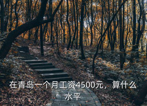 在青島一個月工資4500元，算什么水平