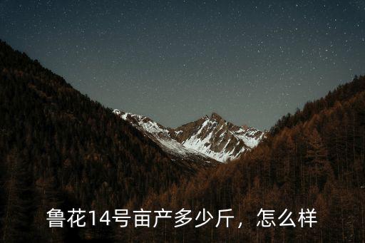 魯花14號畝產多少斤，怎么樣