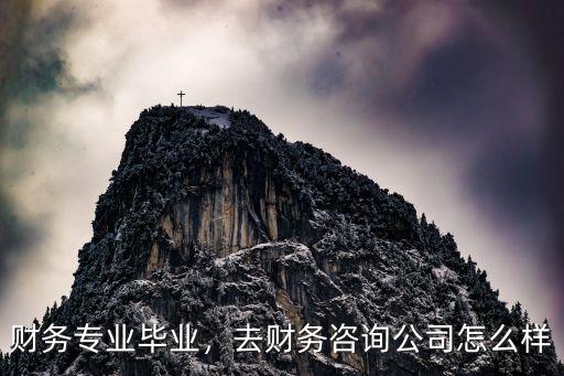 廣州而揚財務咨詢有限公司怎么樣,財務專業畢業
