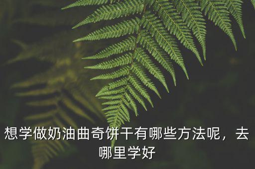 想學做奶油曲奇餅干有哪些方法呢，去哪里學好