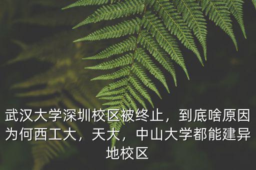 武漢大學(xué)深圳校區(qū)被終止，到底啥原因?yàn)楹挝鞴ご螅齑螅猩酱髮W(xué)都能建異地校區(qū)