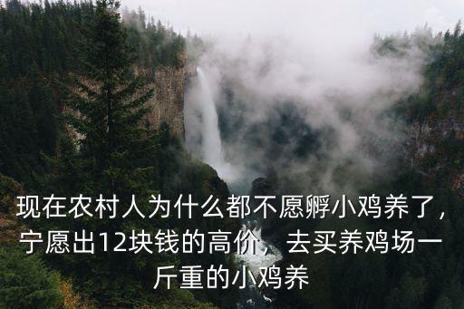 現在農村人為什么都不愿孵小雞養了，寧愿出12塊錢的高價，去買養雞場一斤重的小雞養