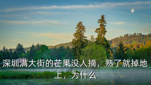 深圳滿大街的芒果沒人摘，熟了就掉地上，為什么