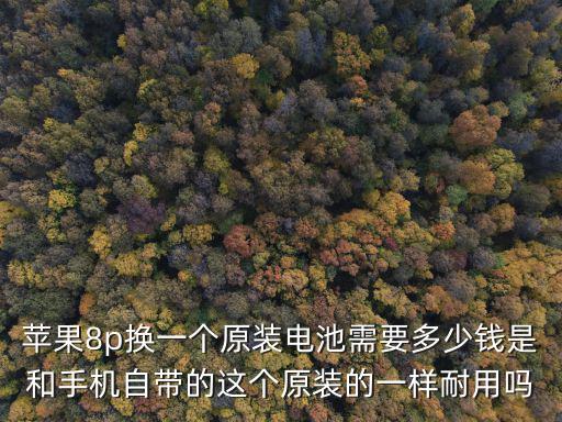 杭州換蘋果原裝電池多少錢一個,蘋果原裝電池多少錢