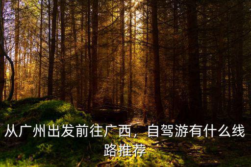 騎車廣州去廣西要多少天,從廣州出發(fā)去廣西自駕游
