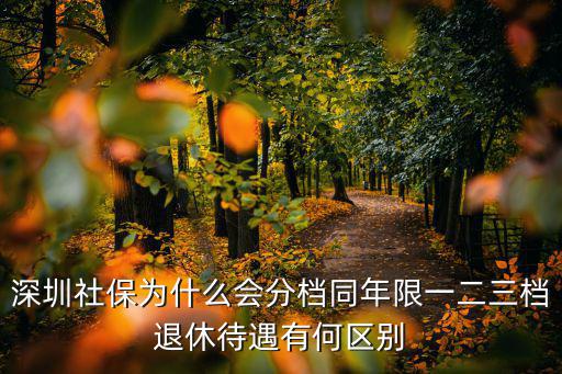 深圳社保局一二三檔相差多少錢,深圳社保為什么會(huì)分檔