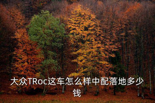 德州大眾探歌多少錢,中配落地多少錢