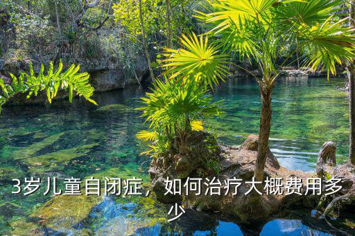3歲兒童自閉癥，如何治療大概費用多少