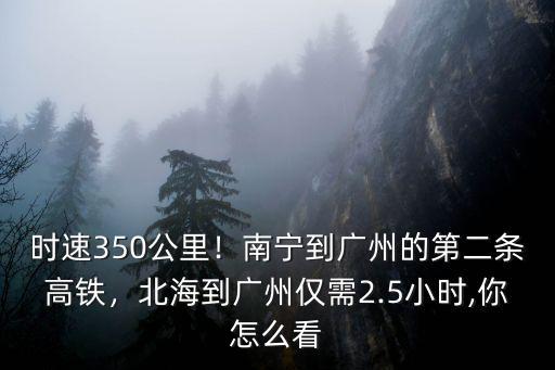 廣州到南寧高鐵有多少趟,北海到廣州僅需2.5小時
