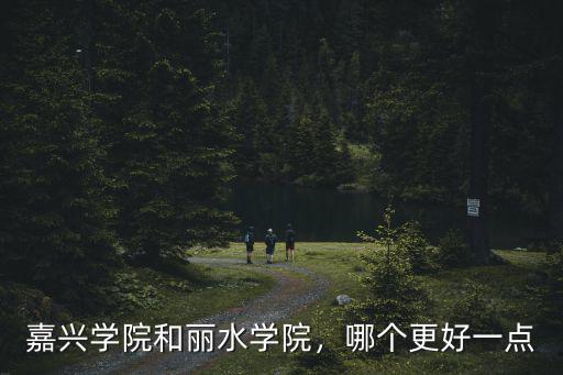 嘉興學院高考多少分,嘉興學院和麗水學院