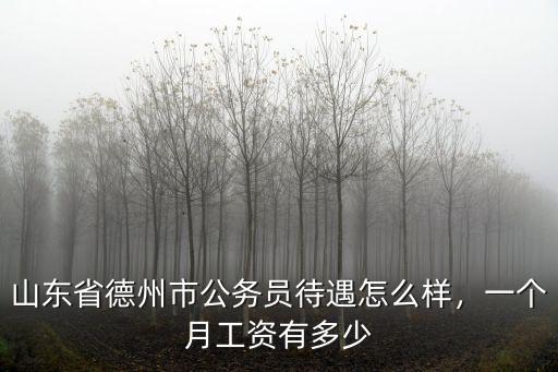 德州萬達三福工資多少,在德州工資是多少
