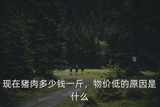 濟(jì)南生豬現(xiàn)在什么價(jià)格是多少,物價(jià)低的原因是什么