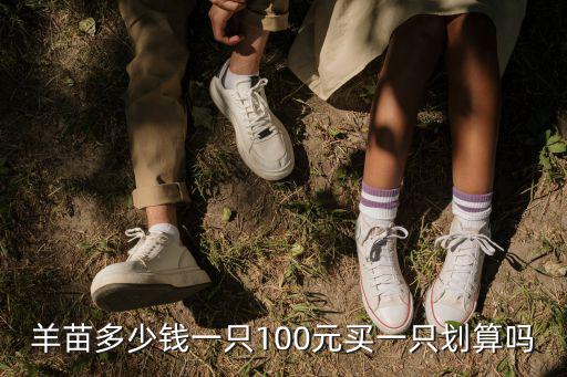 山東黑羊多少錢一只,100元買一只劃算嗎
