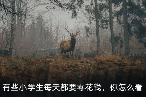 有些小學生每天都要零花錢，你怎么看