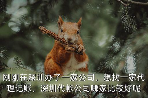 剛剛在深圳辦了一家公司，想找一家代理記賬，深圳代帳公司哪家比較好呢
