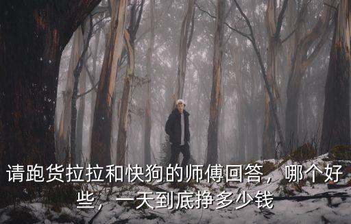 請跑貨拉拉和快狗的師傅回答，哪個(gè)好些，一天到底掙多少錢