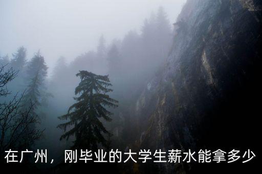在廣州，剛畢業的大學生薪水能拿多少