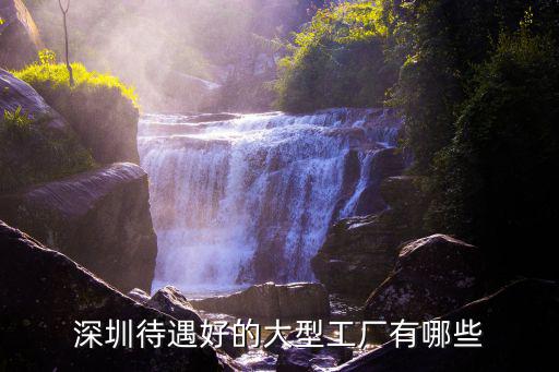 深圳中興代工廠有多少,深圳有什么好的工廠