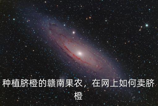 梅州臍橙哪里有賣,在網(wǎng)上如何賣臍橙