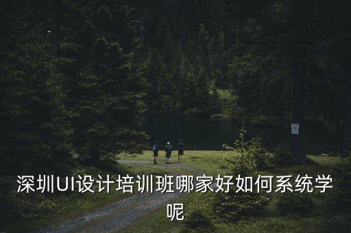 深圳口碑好的設計培訓班在哪里,深圳UI設計培訓班哪家好