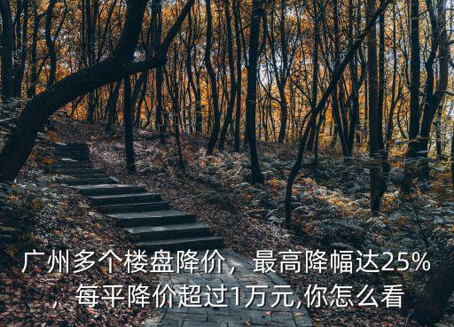 廣州降價樓盤哪里好,廣州多個樓盤降價