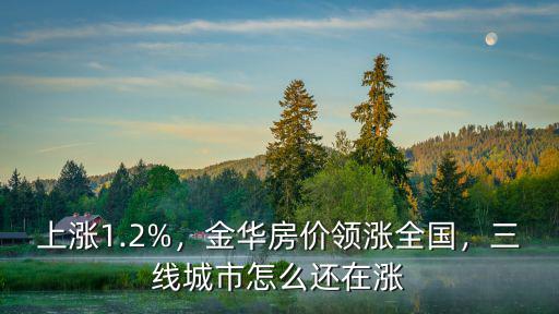 金華房?jī)r(jià)漲幅多少,金華房?jī)r(jià)領(lǐng)漲全國(guó)