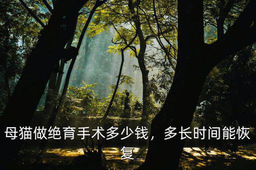 濟南銀漸層絕育多少錢,養一只銀漸貓咪要多少錢
