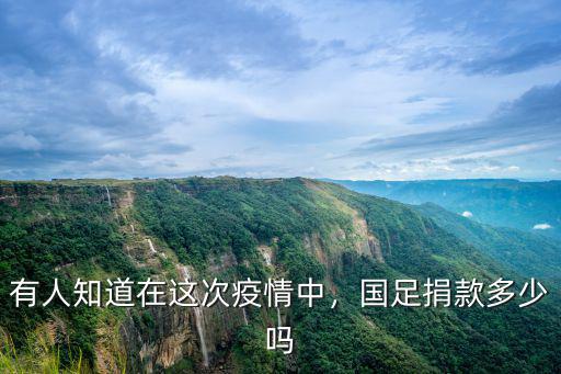 廣東海天集團向武漢捐款多少,北京快手向武漢捐款1億多