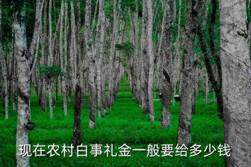 現(xiàn)在農(nóng)村白事禮金一般要給多少錢