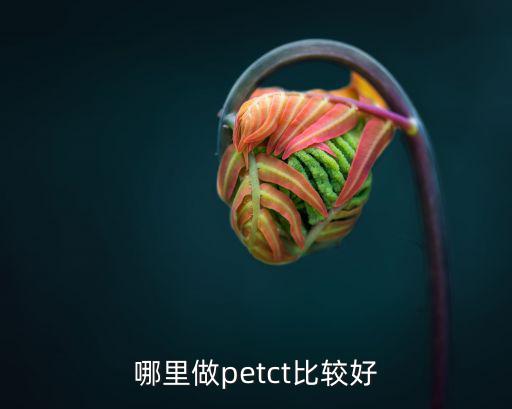 pet-ct嘉興多少錢做一次,做一個全身CT多少錢
