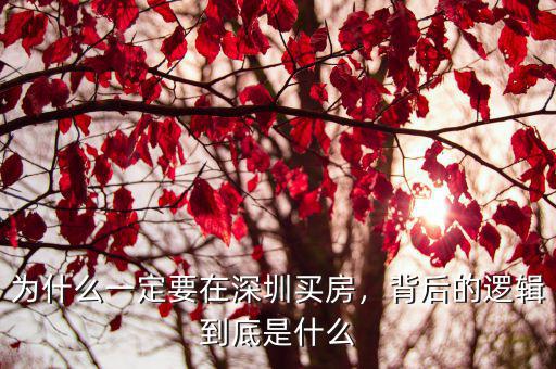 怎么在深圳利用杠桿買房,花20萬怎么在深圳買房