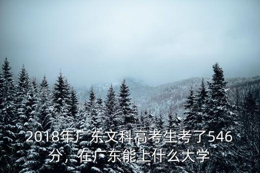 2018年廣東文科高考生考了546分，在廣東能上什么大學