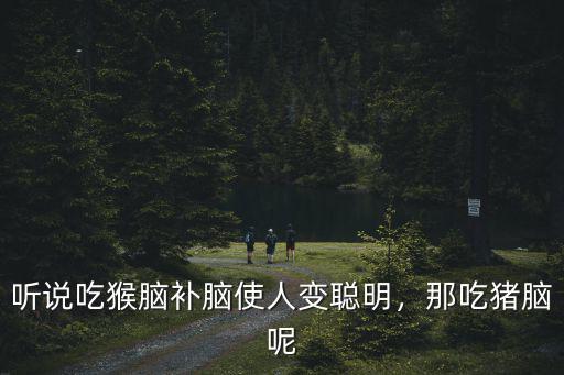 聽說吃猴腦補(bǔ)腦使人變聰明，那吃豬腦呢