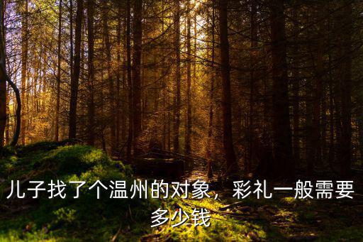 兒子找了個溫州的對象，彩禮一般需要多少錢