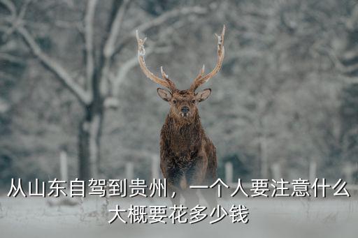 貴州到山東的車費(fèi)是多少,從山東自駕到貴州