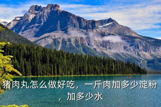 豬肉丸怎么做好吃，一斤肉加多少淀粉，加多少水