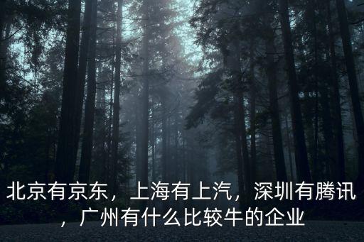 廣州民航現(xiàn)在有多少家企業(yè),廣州有哪些大企業(yè)