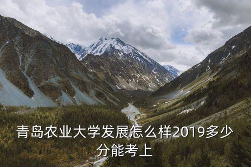 青島農業大學發展怎么樣2019多少分能考上