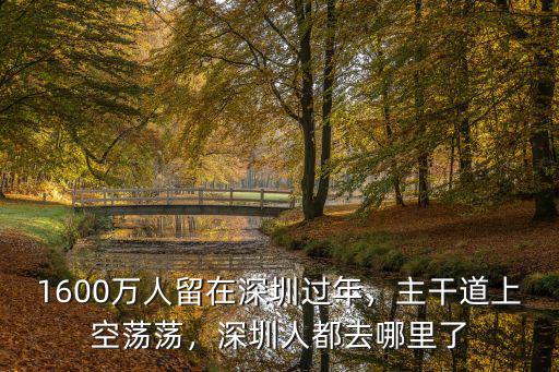 1600萬人留在深圳過年，主干道上空蕩蕩，深圳人都去哪里了