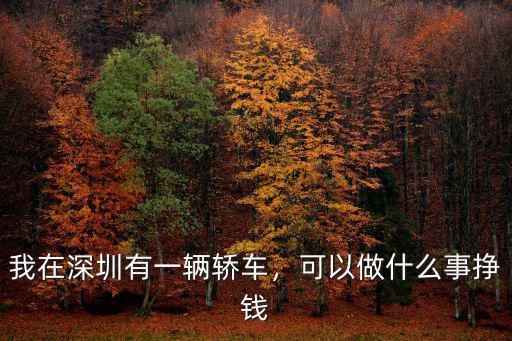 我在深圳有一輛轎車，可以做什么事掙錢