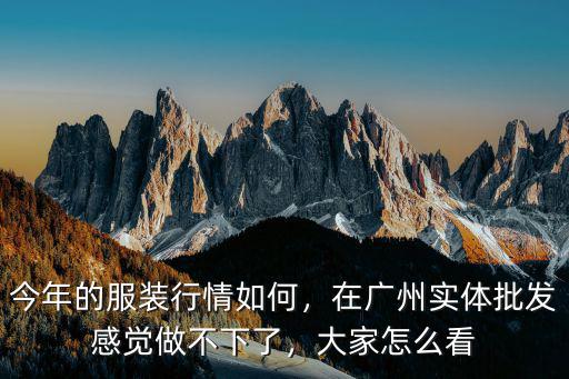 今年的服裝行情如何，在廣州實(shí)體批發(fā)感覺做不下了，大家怎么看