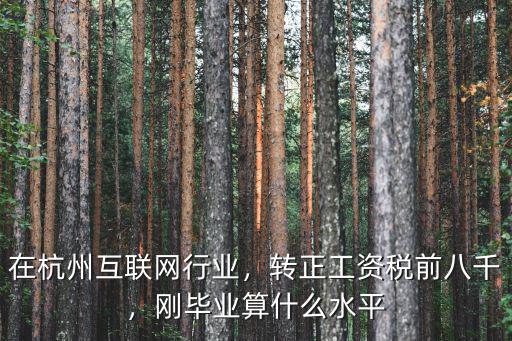 杭州市互聯網公司工資多少,大型互聯網公司的普通程序員