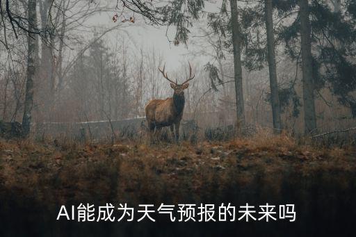 深圳天氣預報信息怎么來的,AI能成為天氣預報的未來嗎