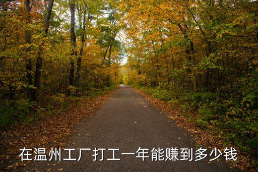 在溫州工廠打工一年能賺到多少錢