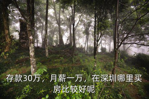 存款30萬，月薪一萬，在深圳哪里買房比較好呢