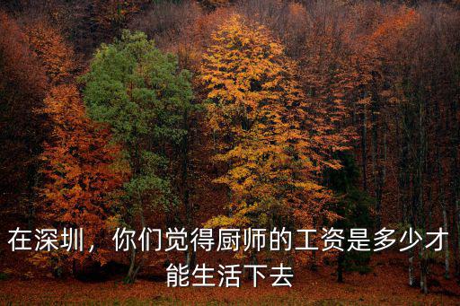在深圳，你們覺(jué)得廚師的工資是多少才能生活下去