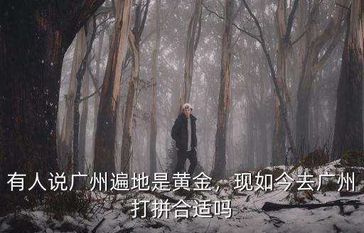 有人說廣州遍地是黃金，現如今去廣州打拼合適嗎